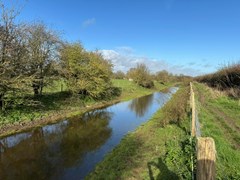 canaljpg